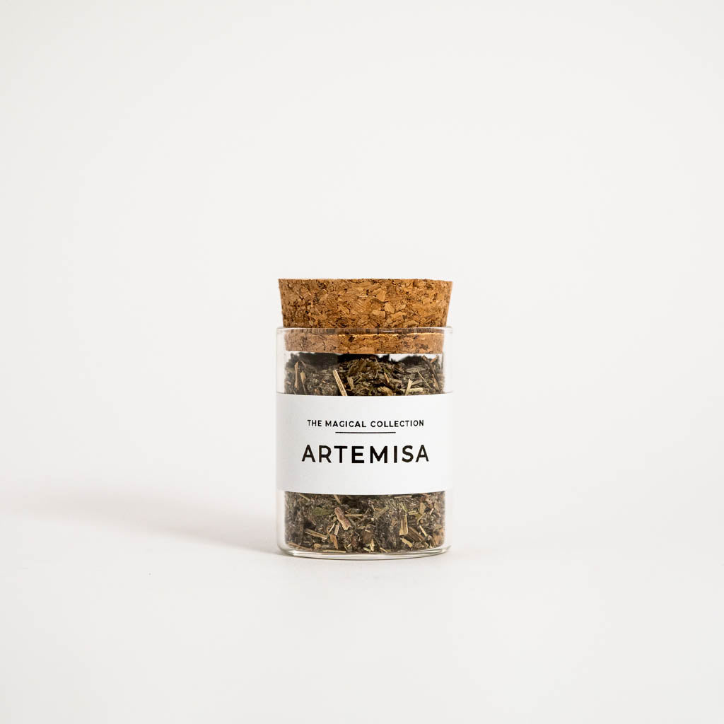 La Artemisa, una de las hierbas más populares del mundo brujil.