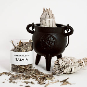 La Salvia se asocia la purificación, la protección, la sabiduría, la vida larga, los despojos, la salud y la intuición.